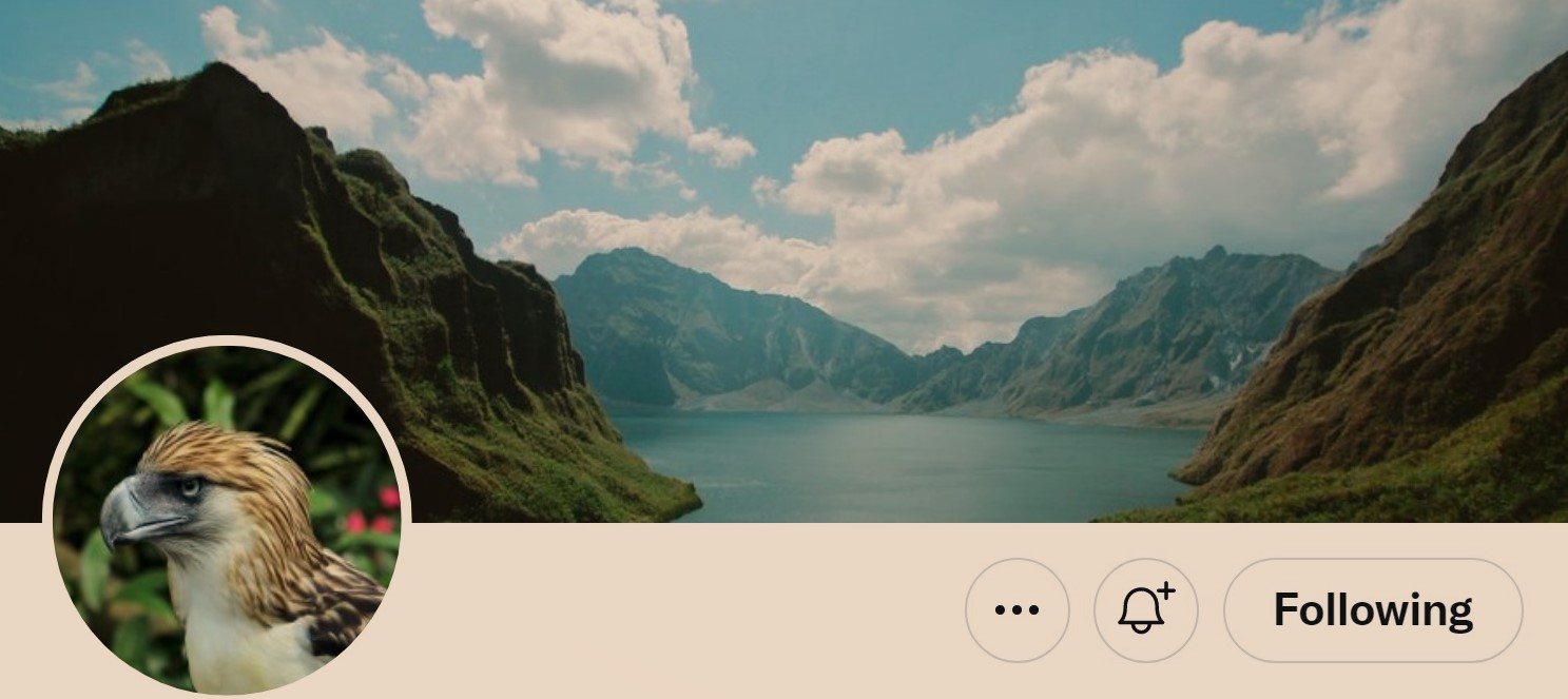 /000001a/pic/philippines+006+eagle02.jpg